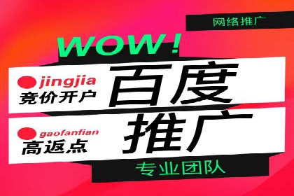 百度竞价推广实战：案例分析与优化策略